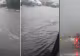 Fenomen o dată la 100 de ani: ploile torențiale au atins un nivel rarisim. Explicațiile Apa Nova - VIDEO
