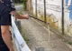 Jandarmii au prins un mega șarpe de 2 metri. Reptila se plimba nestingherită în mijlocul drumului - VIDEO
