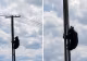 Urs filmat pe un stâlp de electricitate la marginea Brașovului. Imaginile au devenit virale - VIDEO