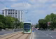 Încep lucrările la scuarul central al Căii Văcărești. Peste 300 de arbori vor transforma artera într-un coridor verde și vor reduce poluarea, zgomotul și disconfortul termic