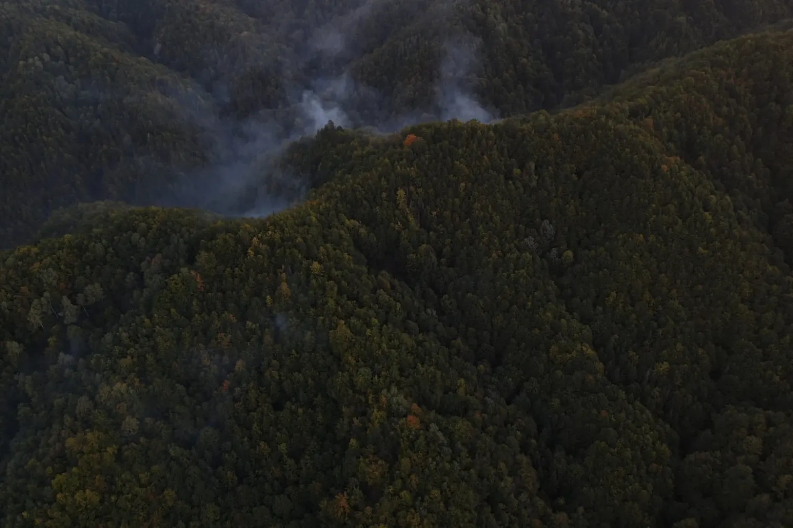 incendiu in judetul valcea
