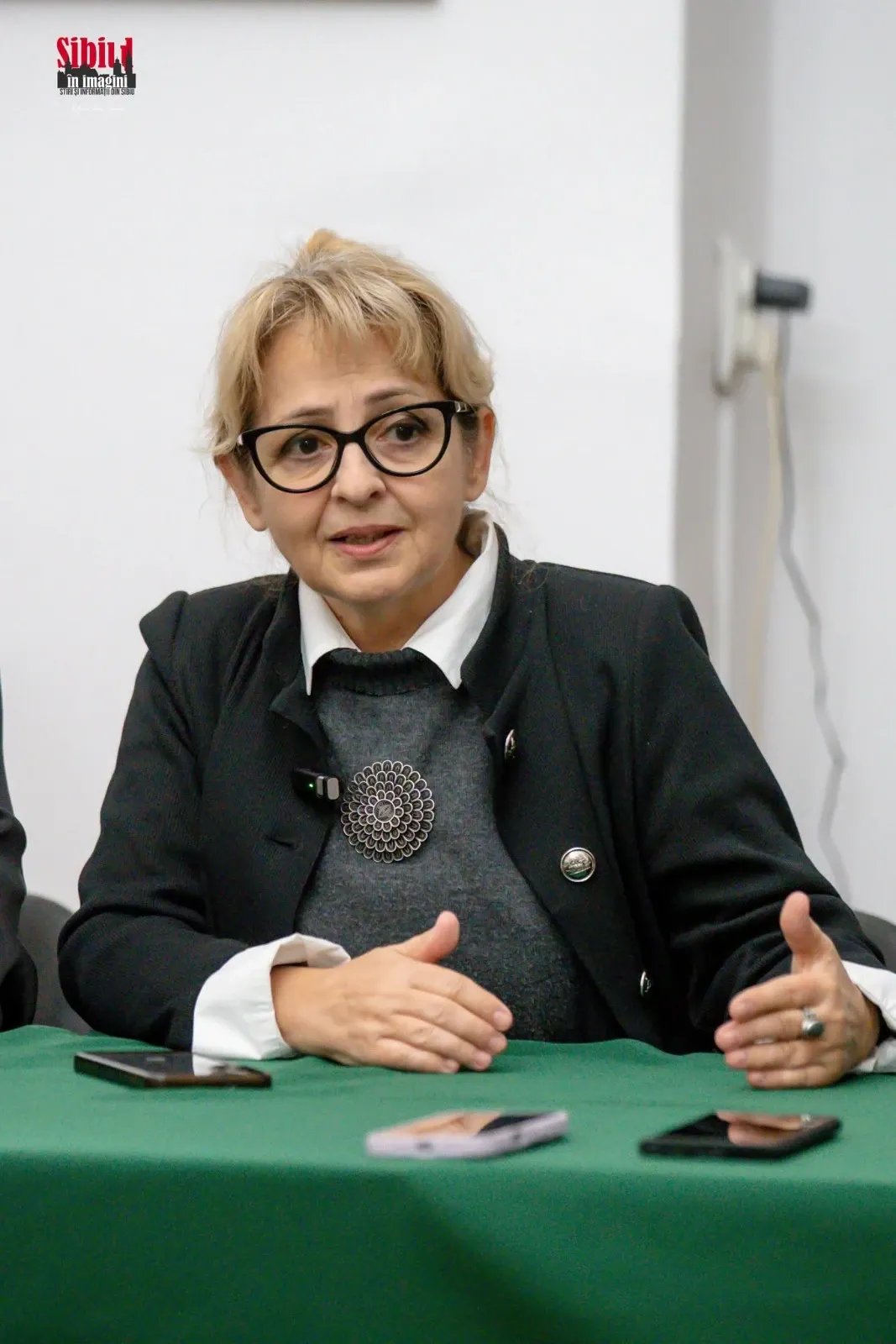 conf. univ. dr. Carmen Croitoru, Director General INCFC