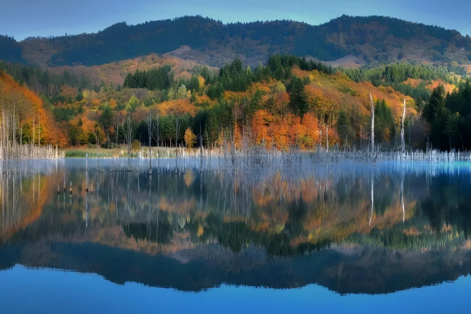 Lacul Cuejdel - România