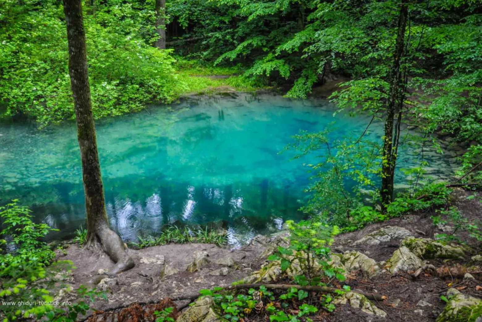 Lacul Ochiul Beiului