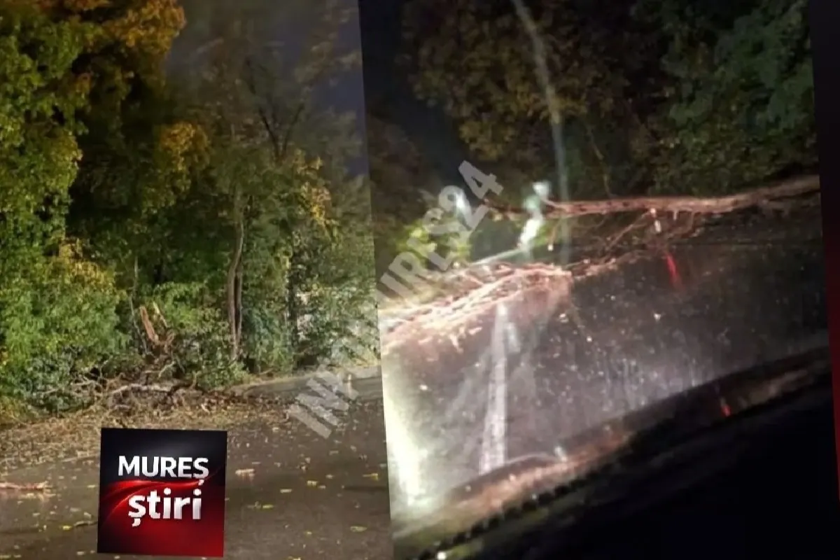 Furtună în Mureș