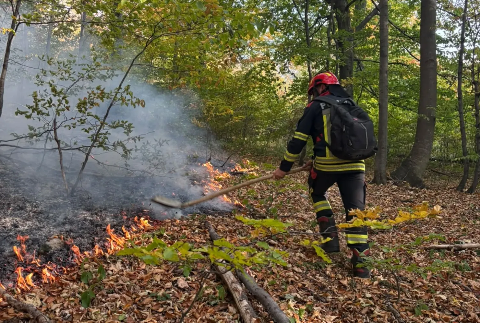 incendiu valea cernei 