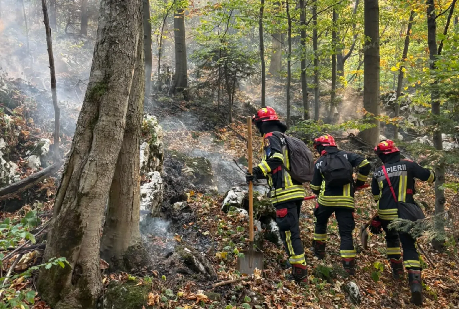 incendiu valea cernei 