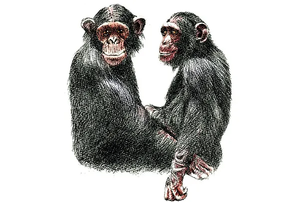 Foto: times.com