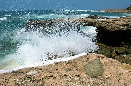 Foto: linternaute.com