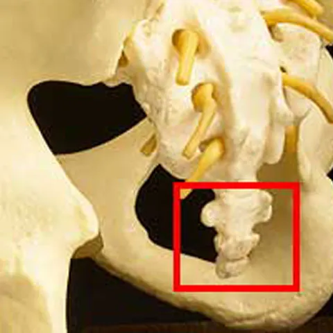 Foto: science.discovery.com