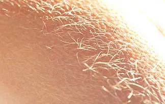 Foto: science.discovery.com