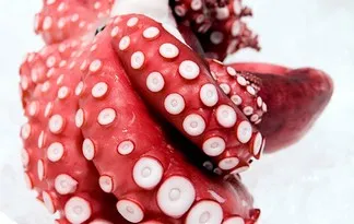 Foto: science.discovery.com