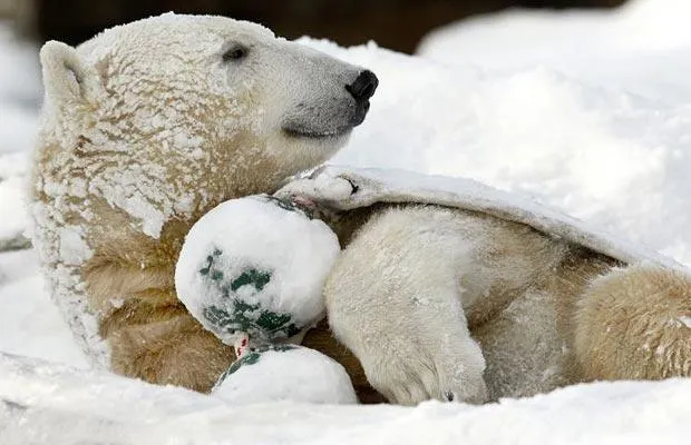 Foto: AP