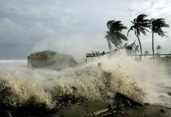 FOTO: companysj.com