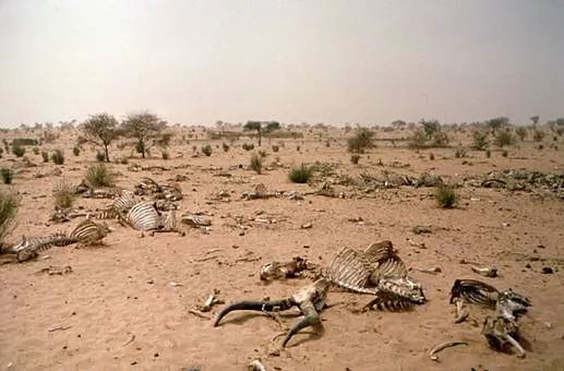 FOTO: postconflict.unep.ch