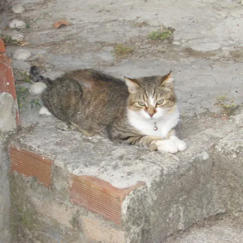 Foto: Luminiţa M.