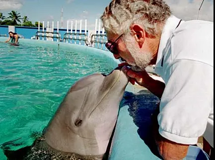 Delfini