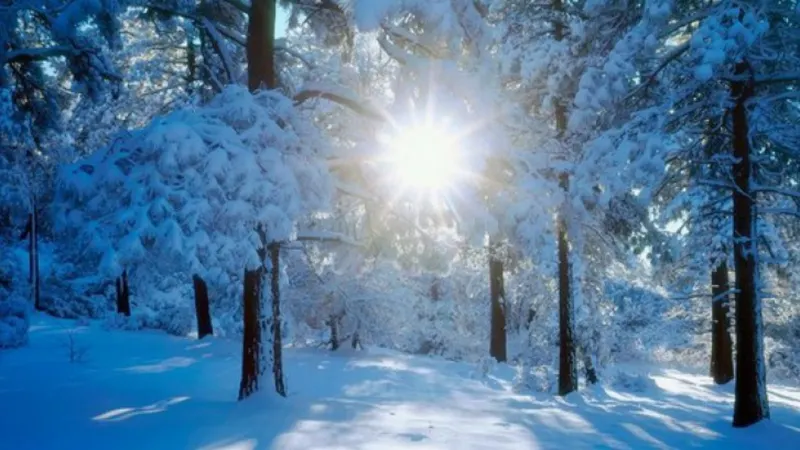 Solstitiul de iarna 2019
