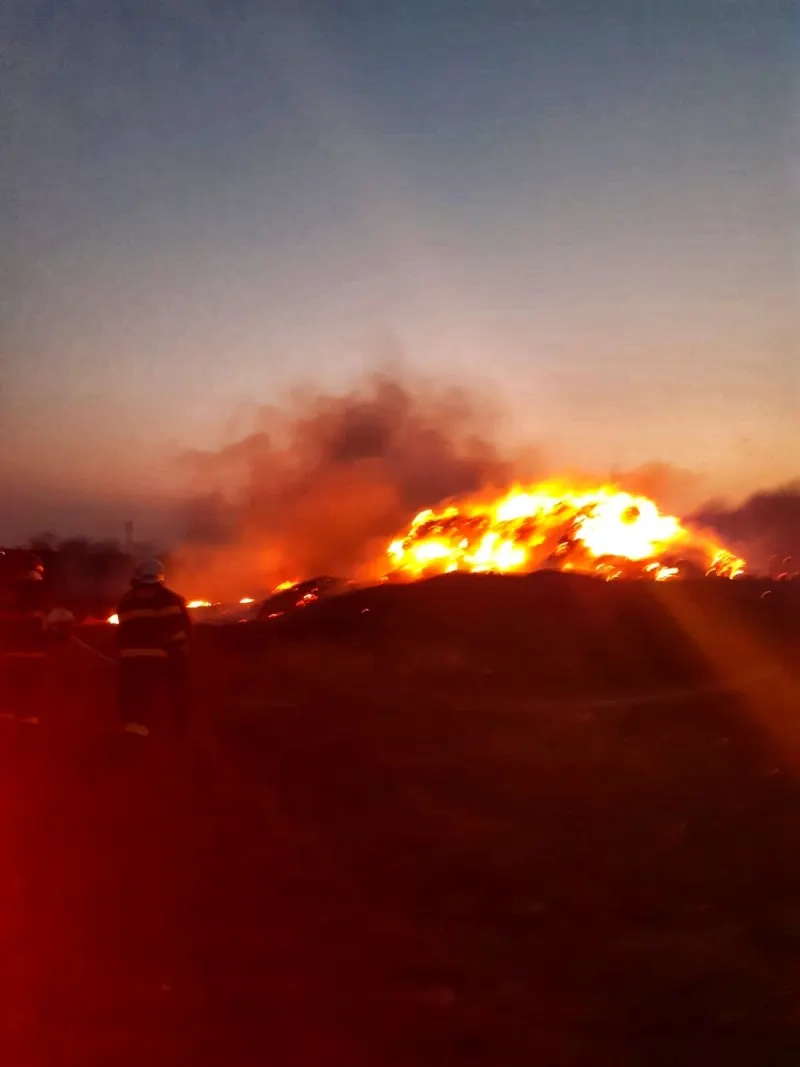 FOTO | Incediu puternic la un depozit din județul Giurgiu. Au ars 20 de tone de furaje – poza 5