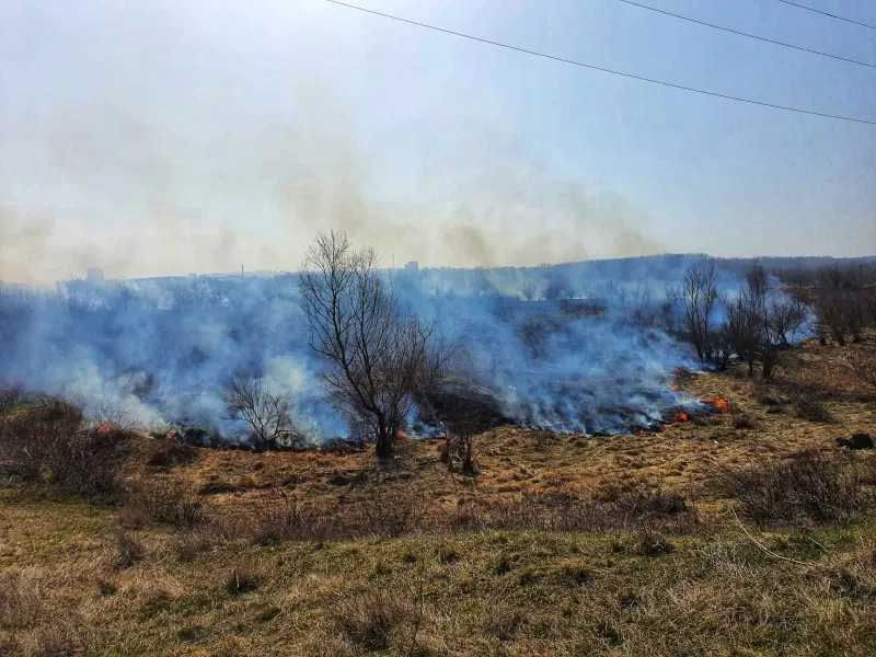 FOTO | Incediu puternic la un depozit din județul Giurgiu. Au ars 20 de tone de furaje – poza 1