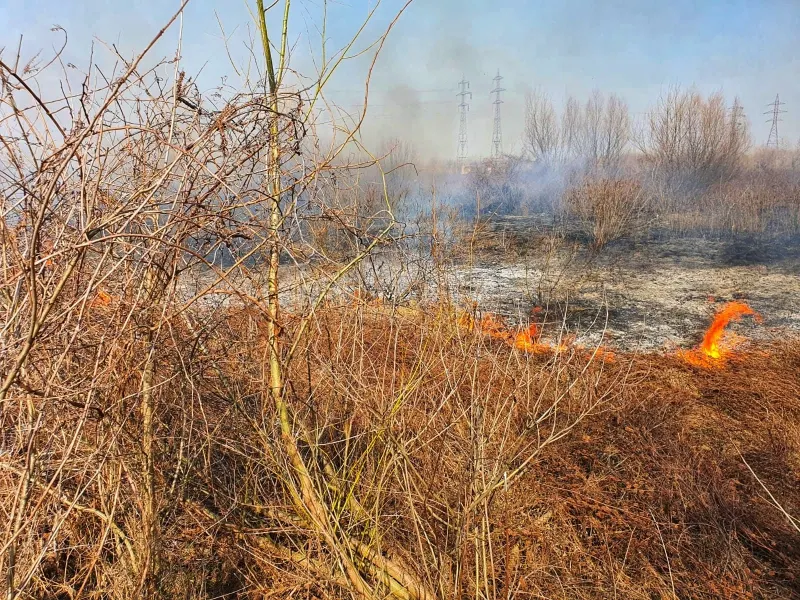 FOTO | Incediu puternic la un depozit din județul Giurgiu. Au ars 20 de tone de furaje – poza 2