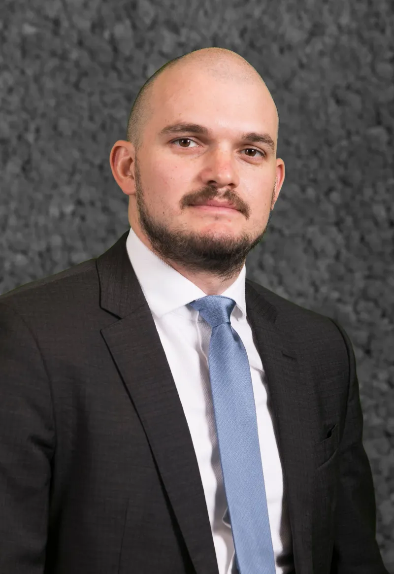 Mihai stanescu