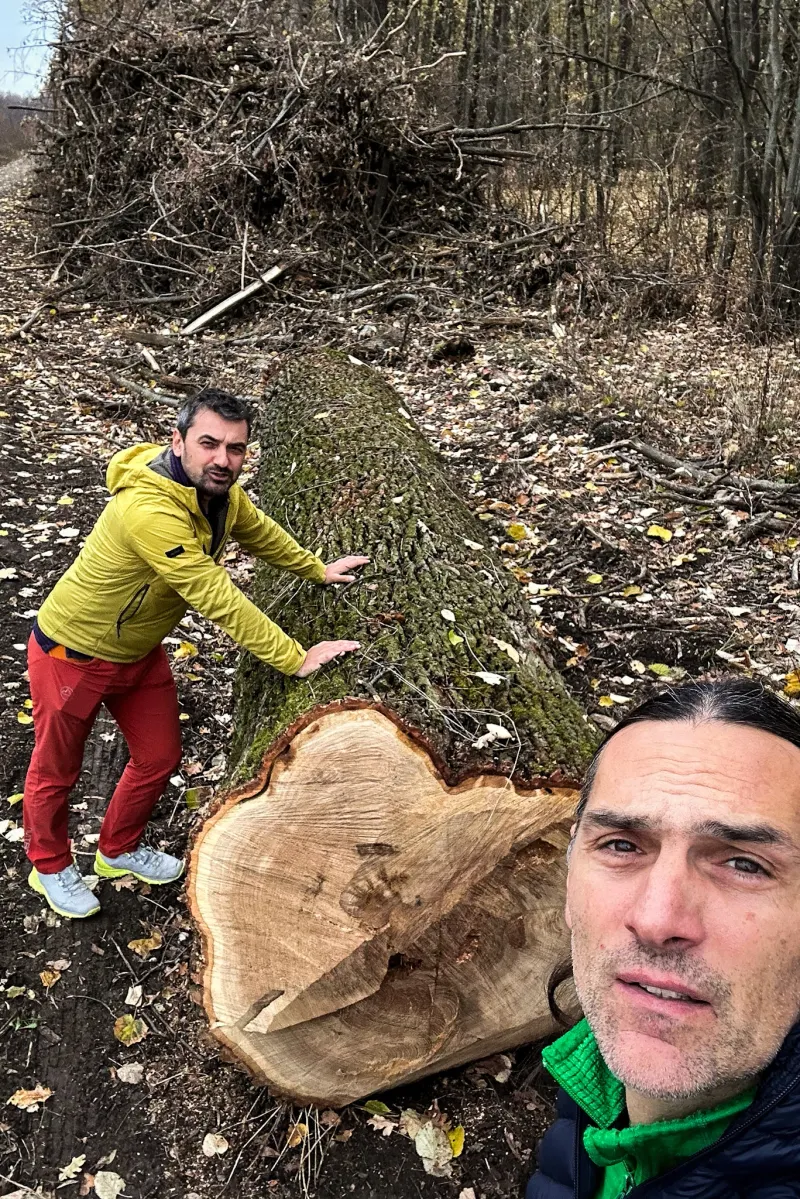 Undă verde pentru Centura Verde București-Ilfov