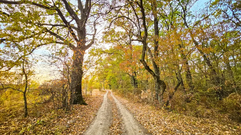 Undă verde pentru Centura Verde București-Ilfov
