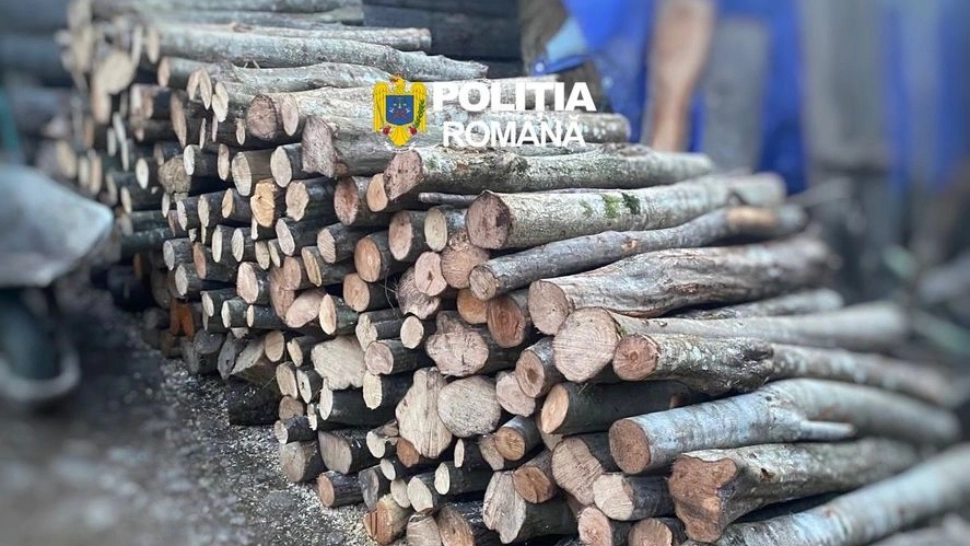 În 2026, cantitatea de lemn fără acte depistată a crescut cu 143% față de 2025