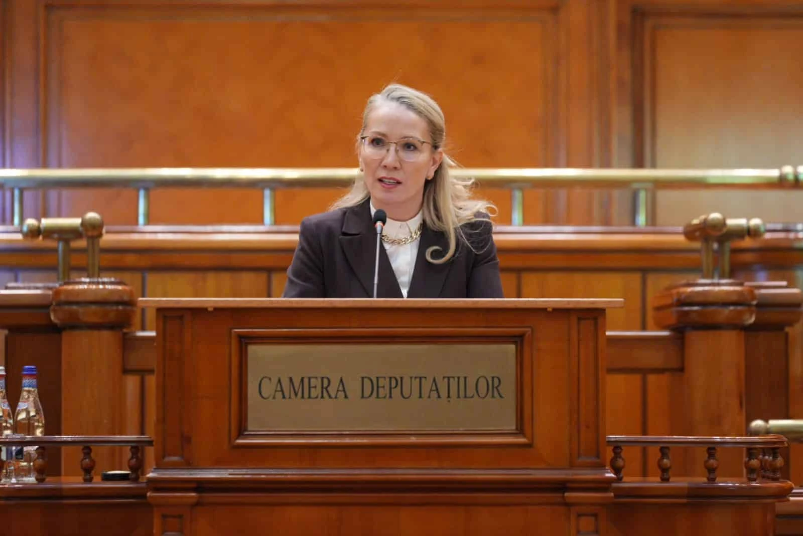 Afirmațiile deputatului AUR Ramona Ioana Bruynseels privind un incident cu dronă la Galați, reacția autori… — rated ÎNȘELĂTOR