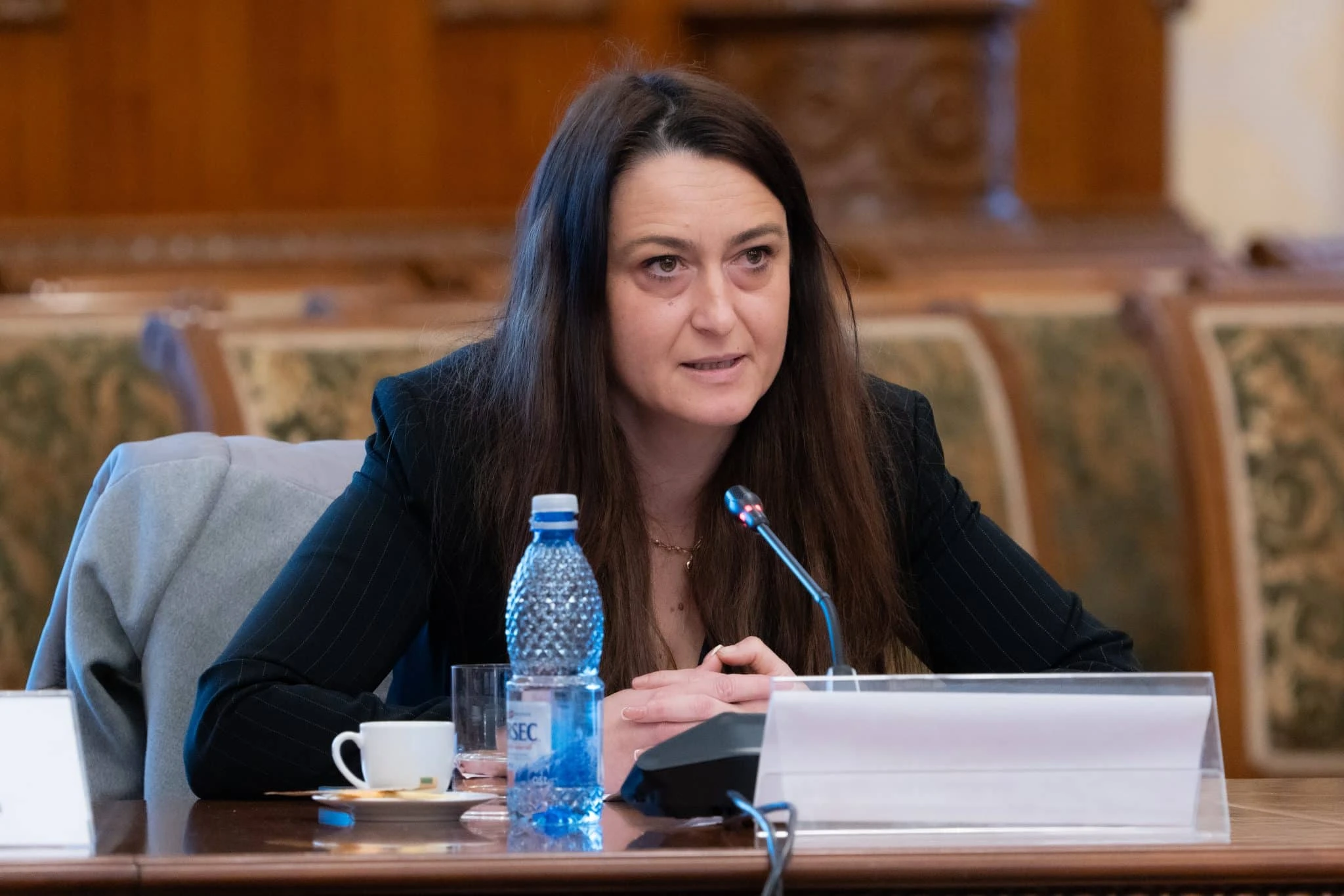Declarația deputatului AUR Cristina Butură privind adoptarea unui amendament în Comisia pentru să… — verdict APROAPE ADEVĂRAT