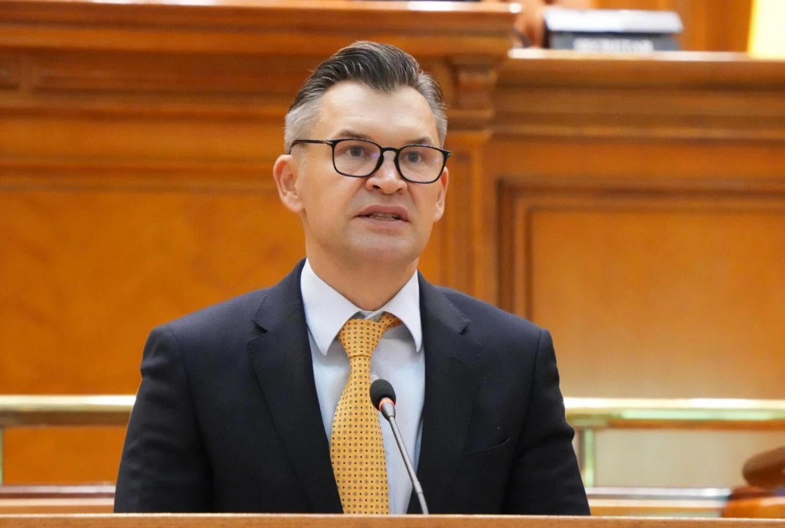 Declarațiile deputatului Ionuț Stroe în care îl critică pe președintele PNL, Ilie Bolojan, afirmând că pa… — verdict ADEVĂRAT